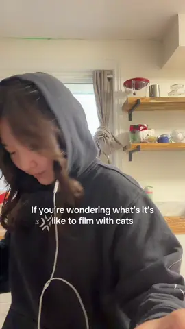 My cats are the clingiest most talkative cats in the world 😵‍💫