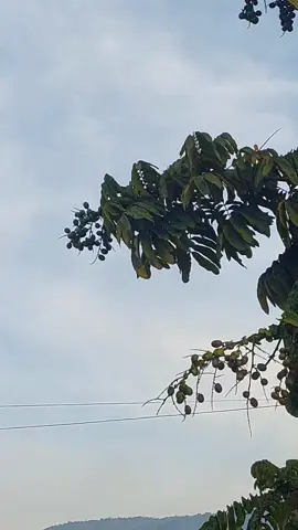 ambil resikonya atau diam jadi penonton #kontermini #miniatm #bukuagen 