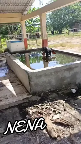 JAJAJA QUE ENVIDIA #😂😂😂😂😂😂😂😂😂😂😂😂😂😂😂😂😂😂😂😂 #😂😂😂😂😂😂😂😂😂😂😂😂😂😂😂😂😂😂😂😂 