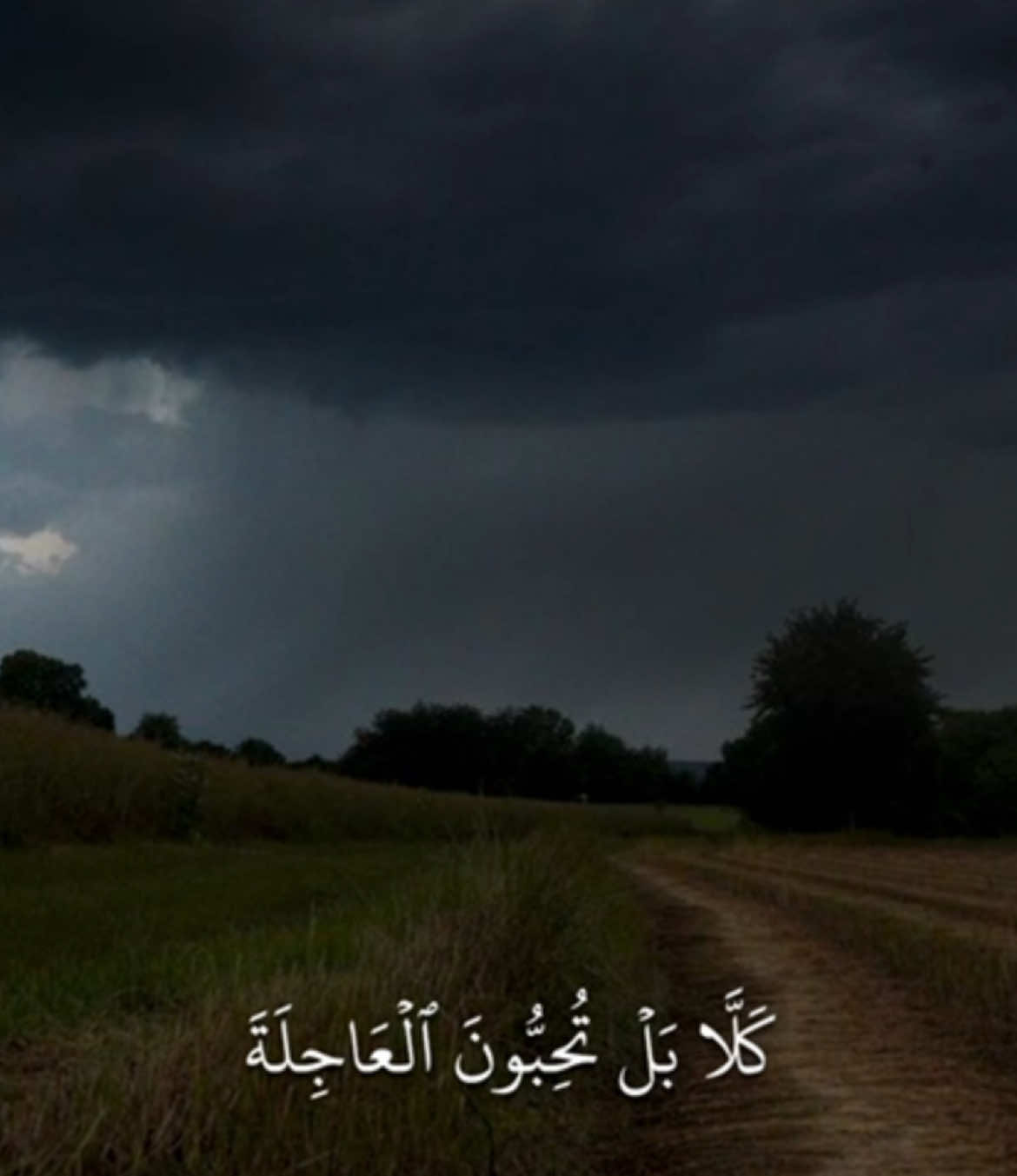 ﴿ كَلَّا بَلْ تُحِبُّونَ الْعَاجِلَةَ ﴾ [ سورة القيامة ] #قران #حسن_العدني #quran 🤎..