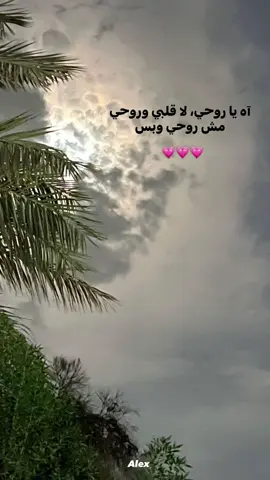 💗💗#احمد_بتشاان #اه_يروحي_لأقلبي_وروحي_مش_روحي_وبس #fyyyyyyyyyyyyyyyy #fyp 