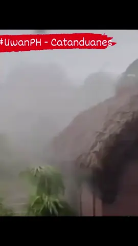 🙏🏻🙏🏻🙏🏻 #viral #fyp 