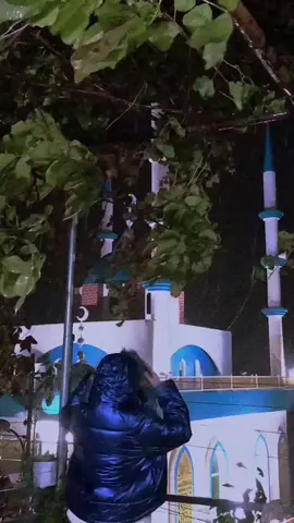 ئەڵێن لەو دنیا هەموو ئەندامەکانی لەش دێنە قسە ، تۆ دوعا بکە دڵم ڵاڵ بێت،