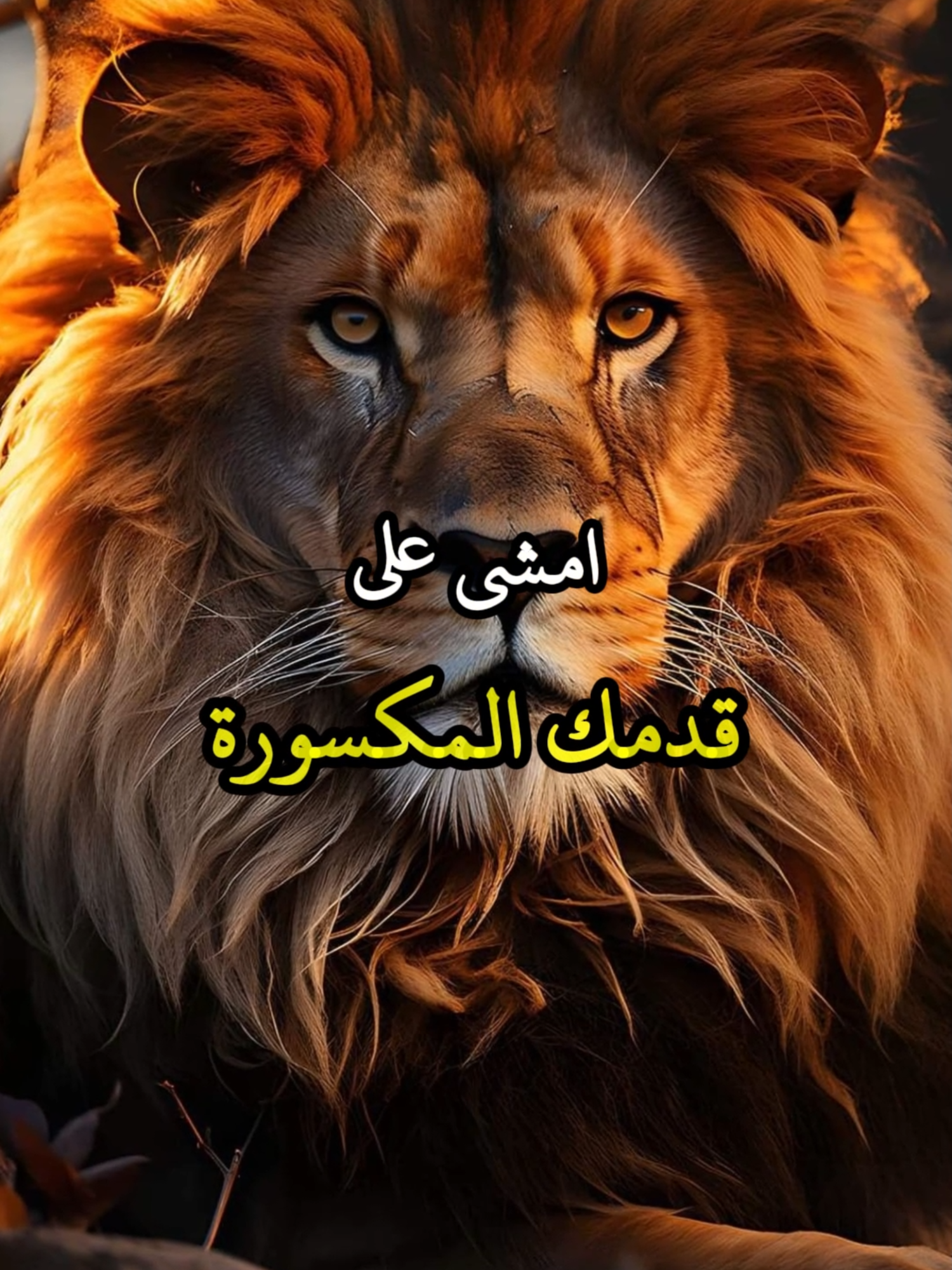 امشي على قدمك المكسورة.. #اقتباسات #حكمة #خواطر #اكسبلور #نجاح #علم_النفس #تطوير_الذات #كلام_من_ذهب #اطمئن #اقتباسات_عبارات_خواطر #تحفيزات_إيجابية #اللهم_صلي_على_نبينا_محمد #fyp #explore #viral_videos #psychology #motivation