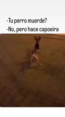 #CapCut #LIVEFEST2025 #LIVECanBeEasy #MakeLIVECount 