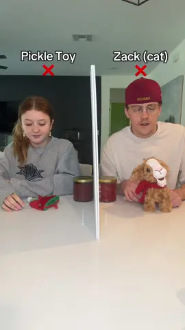 Lying challenge except Cam ruined it 😭 #fyp #catsoftiktok #challenge 