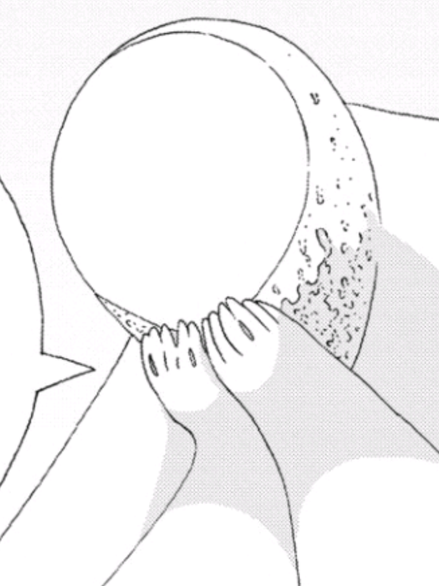 ♡♡♡ || #dailyphos || God phos monolog <3 audio is from the houseki no kuni drone show || #phos #phosphophyllite #landofthelustrous #hnk || day 11 of daily phos 💕 || ♡♡♡