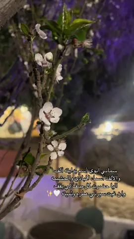 سماني ابوي أسم بدايته ألف والألف أسماء المبادي والحشيمه اليا حضرت كل صفً لي يقف وان غبت سيرتي عطره وثمينه 🤍✨#أماني #ترند_تيك_توك #سماني #CapCut 