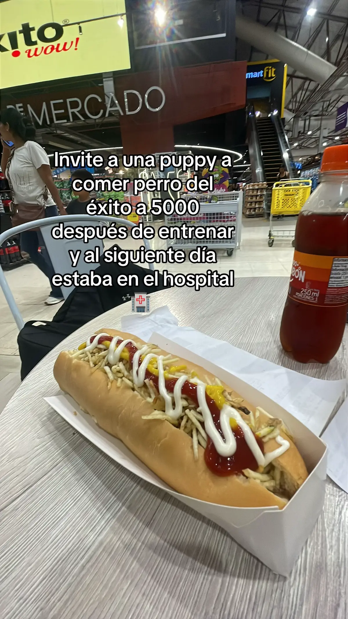 #fyp #fouryou #smarfit #exito #puppy 