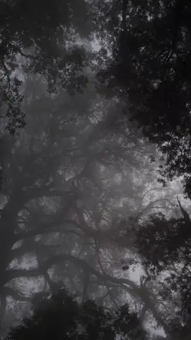 🥀#batukaru #adem #fypage #padahariini 