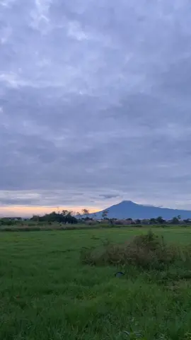 #masukberanda #tegal24jam #morningperson 