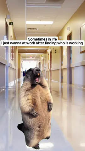 #CapCutwhen y’all got that crazy coworkers who don’t do their shit 