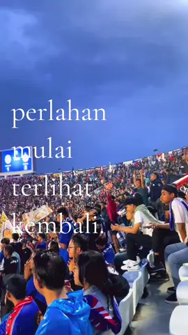 🥺 #arema #malang #kanjuruhan 