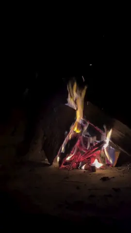 طبيب جراح قلوب الناس اداويها وياما جراح سهرت الليل اداريها شافوني قالوا متهني . من كثر الفرح بيغني تعالوا واسألوا عني انا اللي بيّ جراح اطباء الكون ما تشفيني .. يا عاشقين قلبي زي الغريب بقالو زمان يا ناسين حبي نسيتو ازاي حبي اللي كان فين الوعود فين العهود فين المحبه والحنان شافوني قالوا متهني . من كثر الفرح بيغني تعالوا واسألوا عني انا اللي بيّ جراح اطباء الكون ما تشفيني .. ياما قاسيت ياما صمتي مرار وضحكي انين وضاعت الابتسامه والقطر فات من سنين فين الوعود فين العهود فين المحبه والحنان شافوني قالوا متهني . من كثر الفرح بيغني تعالوا واسألوا عني انا اللي بيّ جراح اطباء الكون ما تشفيني ..🎶♥️👑 @Georges Wassouf   كلمات: صفوح شغاله  ألحان: شاكر الموجي  تاريخ: 1999 . . . #WelcomeWassouf #طبيب_جراح #سلطان_الطرب #Sing_Oldies #page_old_songs 