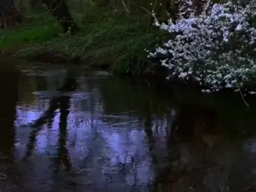 ONDA ANDAR — никнейм российского исполнителя из Санкт-Петербурга Ивана Матвейкина. С 2019 года он работал под псевдонимом ШИПЫ, а с октября 2024 года стал выпускать треки под ником ONDA ANDAR.  #ondaandar #song #dreamcore #video #ambient 