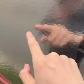 #CapCut #itsukinakano #itsukiedit #viralvideo #gotobunnohanayome 