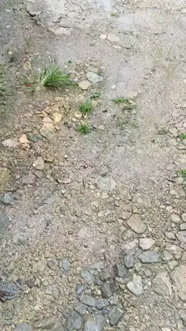 kejauhan #foryoupage #cinematic #fyp #foryoupage 