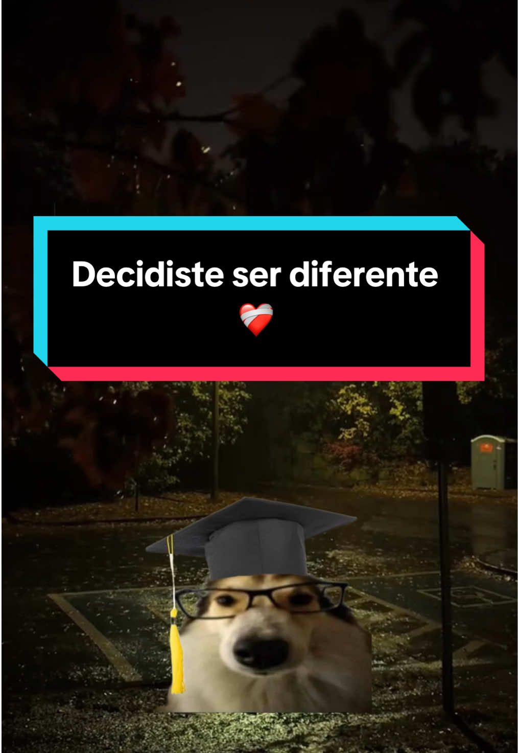 Decidiste ser diferente ❤️‍🩹. #fyp #hopecore #saludmental #soledad #vida #sentimental #psicologia #amistades #amor 