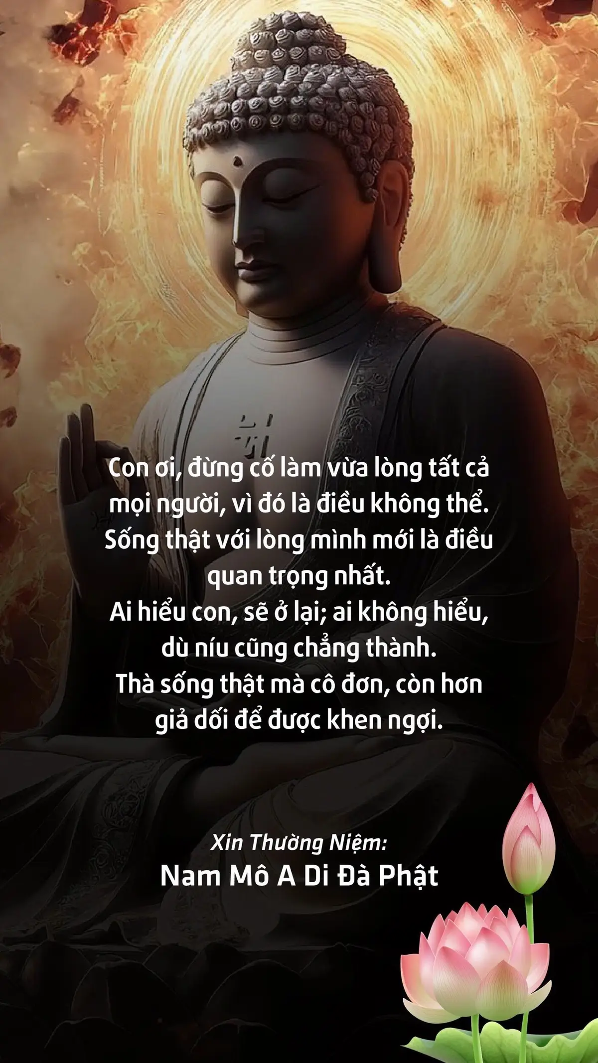 #adidaphat #phatphapnhiemmau 