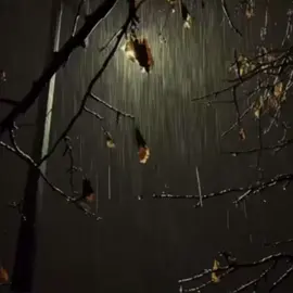 🫠|#xybca #viral #viraltiktok #nezaboravna #xyzbca 