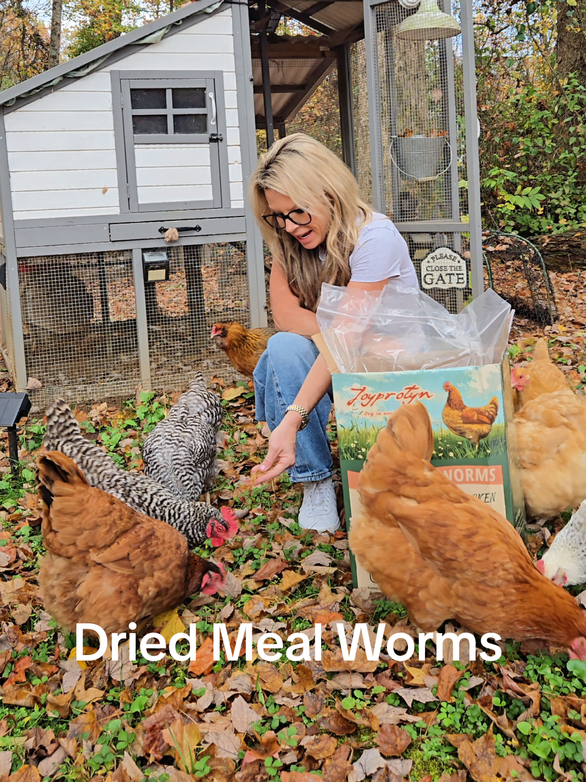 My Chickens go absolutely nuts over these dried Meal worms & they are packed with protein! 100% Natural & No Additives: Mealworms are naturally dehydrated ensuring no preservatives or fillers, ensuring safety and nutrition Enhances Egg Production & Feather Health: High protein and natural fat content support strong eggshells and healthy feather regrowth Fresh and Long-lasting: Quickly dried to maintain crispness and packed in sealed containers for extended freshness without need for refrigeration Premium Non-GMO Nutrition: Made from mealworms raised on clean, plant-based diets without any fillers, preservatives, or additives Sustainable Choice: Produced using circular agriculture to reduce food waste by utilizing plant-based materials Versatile Feed for Many Birds and Reptiles: Ideal for chickens, ducks, quails, wild birds, and reptiles, works great as a treat or mixed with feed. #tiktokshopblackfriday #tiktokshopcybermonday #tiktokshopcreatorpicks 