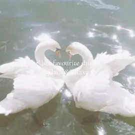 #AGLANAXA - aglaea , dear aglaea . what has caused your heart to soften ? 🌿 #HonkaiStarRail #fyp #hsr #anaxa 