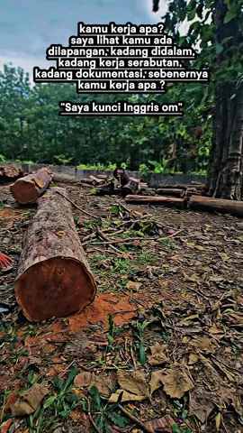 kuli spek kunci inggris😅#jatinugroho #jatiperhutani #kayu #jati #kayujatibesar 