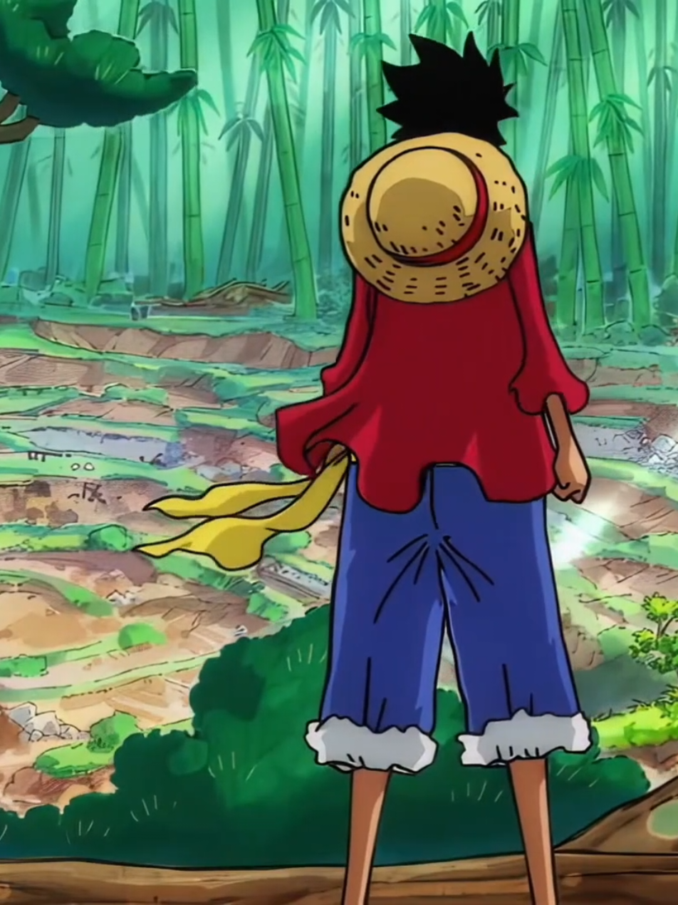 vẻ đẹp của one piece#anime #animeedit #onepiece #zhktwo #xh 