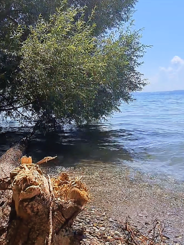 #bodensee #natur #ausflug #entspannung #motivation 