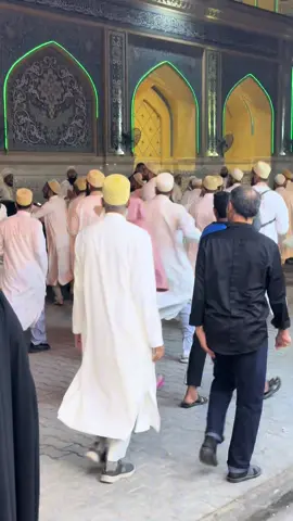 سلطان البهره اخر يوم اله بالنجف  بس الحجيه كارثه تكول ربهم 😂😂