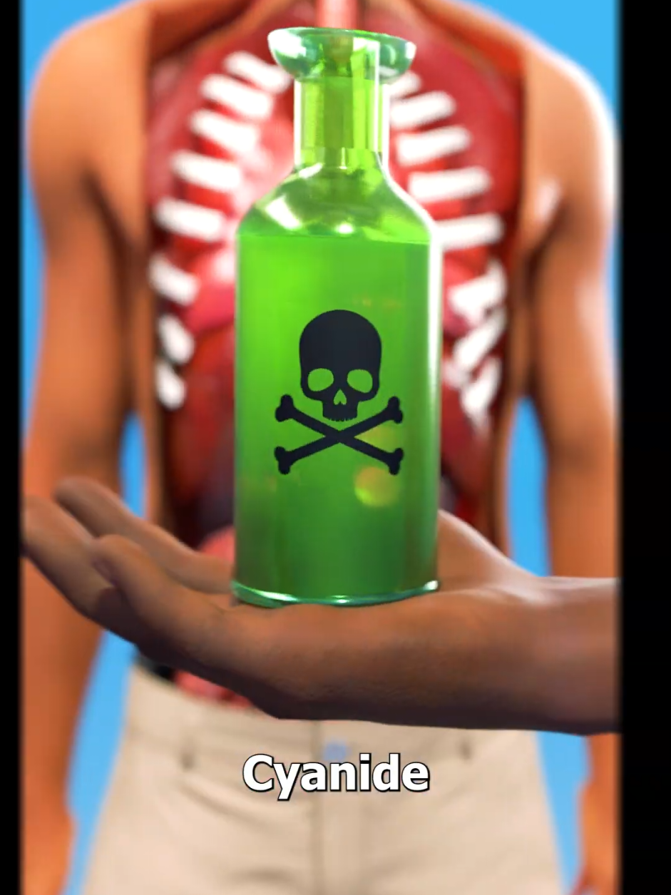 How Cyanide Kills So Quickly 😮 
