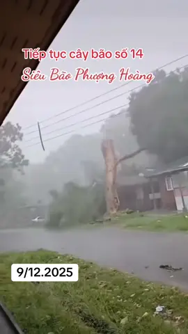 #duet cùng @Nguyễn Nhân #thientai #xuhuong 