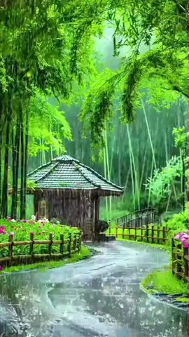 #assalamualaikum  #story #yangkubutuhkan  #janganlupabersyukur  #barakallahufiikum🙏🥰🌹 