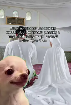 #nikah #marriage #meme #halalmarriage 