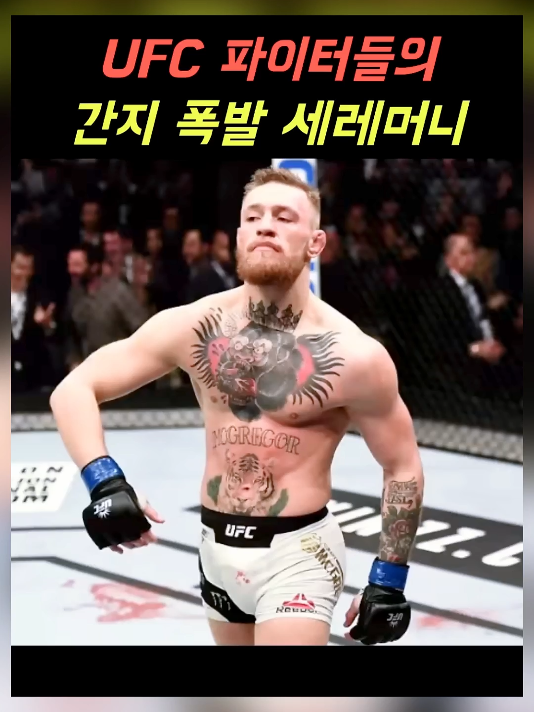 UFC 파이터들의 간지 폭발 세레머니
