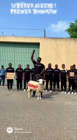 #bodouin libérez Alexis !@Didi B @M26 @Hommedenuit 😈🔥 