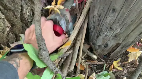 Going geocaching! #geocache #fyp 