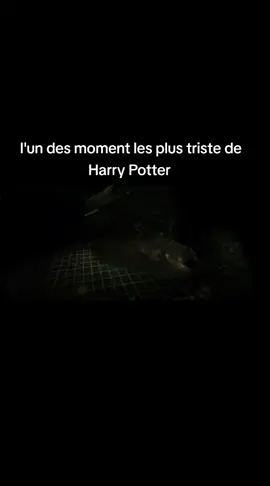 moment triste 😢#harrypotter #harry #harrypottertiktok #harrystyles #dumbledore 