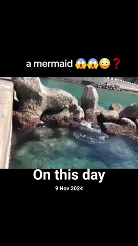 #onthisday #creatorsearchinsights 