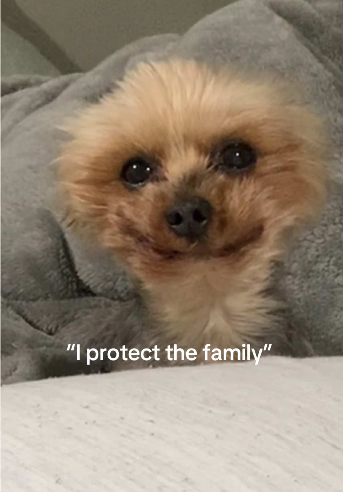 5 whole pounds of intimidation 