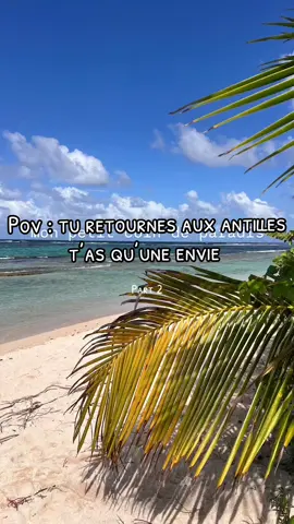 Et toi? T’as envie de quoi quand tu reviens de métropole ? #guadeloupe #971 #972 #fyp #pourtoi 