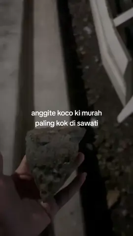 iki pie terusan ngeneki kenek sawatan nek pace sah silat konfoi#pencakdorindonesia🇲🇨 #kediri24jam #omahsawahburengan #pacenganjuk #fypシ゚ 