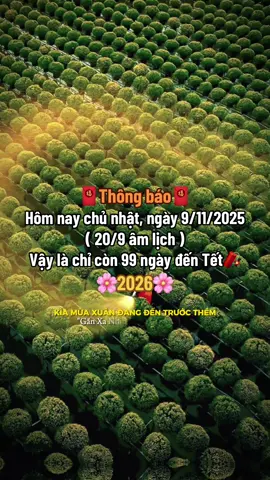 Thông báo còn 14 cái chủ nhật đến Tết nguyên đán 2026🌸🧧#tetnguyendan2026🧧🎆🧨 #CapCut #fyp #xuhuong #thinhhanh 