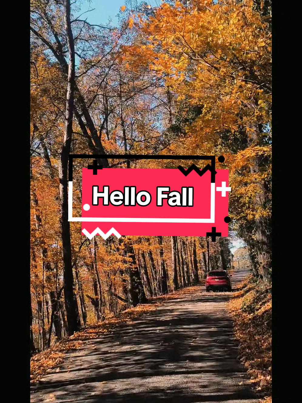 the colors this week have been showing out #hellofall #autumnaesthetic #easttn #exploremore  #CapCut 