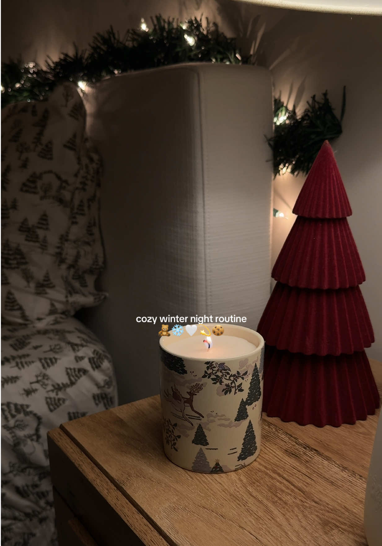 loving my cozy winter nights 🧸❄️🍪💫 @Tree Hut @Native @eos Products  #christmasaesthetic #winteraesthetic #winternight #nightroutine #asmr  