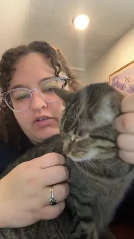 #aspiringauthor #nanowrimo #writing #writersoftiktok #novelnovember 