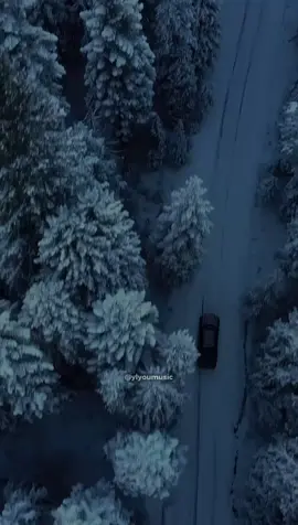 🎵 James Blunt - You’re Beautiful #jamesblunt #beautiful #tradução #nostalgia #tipografia 