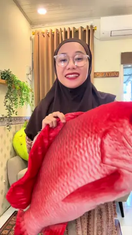 Bantal ikan kakap merah ukuran xl #bantal #bantalkarakter #bantalikan #bantalboneka #bonekabantal 