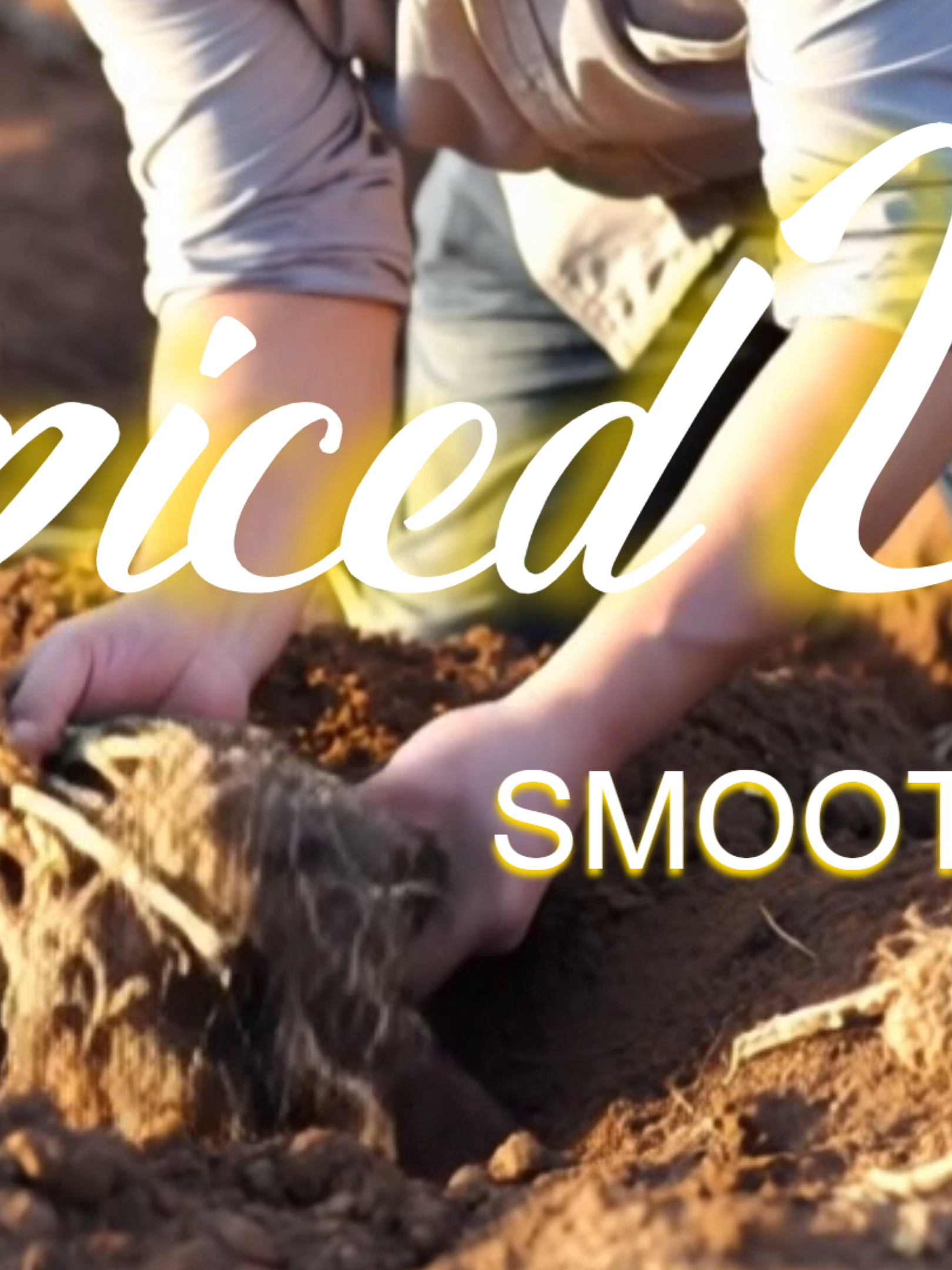 Feeling stuffed up? Let nature clear the way! If your sinuses are acting up, swing by Spiced Up Smoothie Bar and try our Ginger Dragon Inferno Smoothie — a fiery fusion designed to help you breathe easy and feel vibrant. Why it works: • Ginger: anti-inflammatory, anti-bacterial & decongestant properties and antioxidants for immune support • Cayenne Pepper: boosts circulation & helps break up mucus with anti-microbial properties • Dragon Fruit: rich in vitamin C, antioxidants & hydration for immune support with anti-inflammatory & anti-microbial properties It’s not just a smoothie — it’s a spicy wellness ritual.  Come sip the relief. Your sinuses (and taste buds) will thank you. #SpicedUpSmoothieBar #SinusReliefNaturally #GingerCayenneGlow #DragonFruitMagic #BreatheBoldly #WellnessWithFlavor #HerbalWellness #SpicePowered #InstaSmoothie #HealthyIndulgence #TasteTheFuture #ChandlerAZ #ChandlerEats #ChandlerFoodies #ChandlerLife