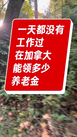 你知道吗？在加拿大，退休了就能靠养老金活得滋润，哪怕你一辈子都没工作过！#加拿大养老金 #加拿大福利 #加拿大工作 
